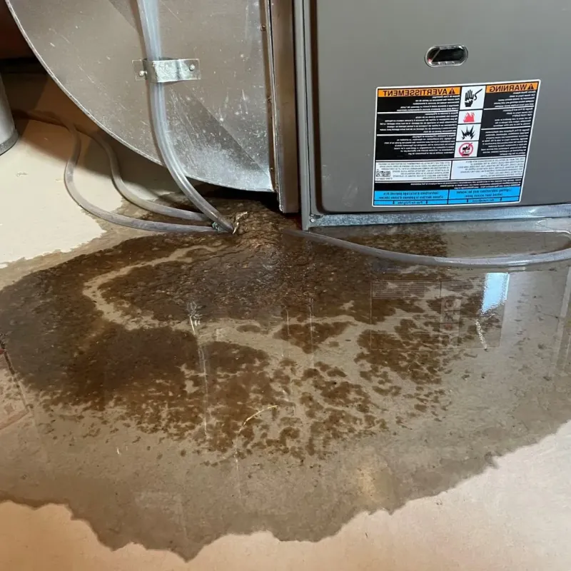 Pipe Burst and Leak Restoration in Sabana Seca, PR